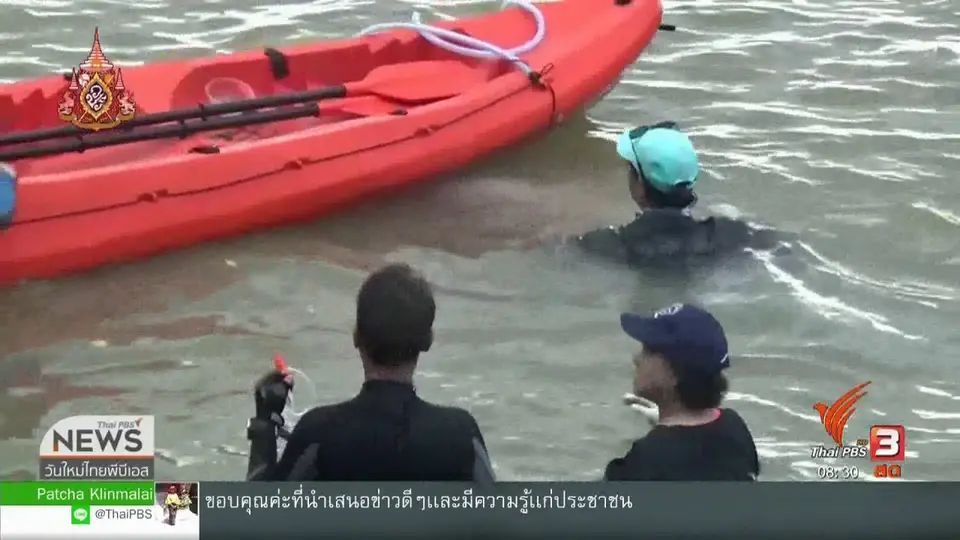 จับตาข่าวเด่น : ทีมดูแลพะยูนน้อย​ "มาเรียม" เจอพิษแมงกะพรุนจนบาดเจ็บ