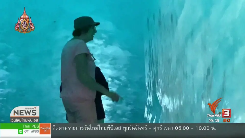 สีสันวาไรตี้ (1 ก.ค. 62)