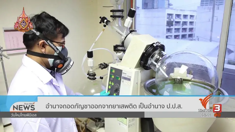 อำนาจถอดกัญชาออกจากยาเสพติด เป็นอำนาจ ป.ป.ส.