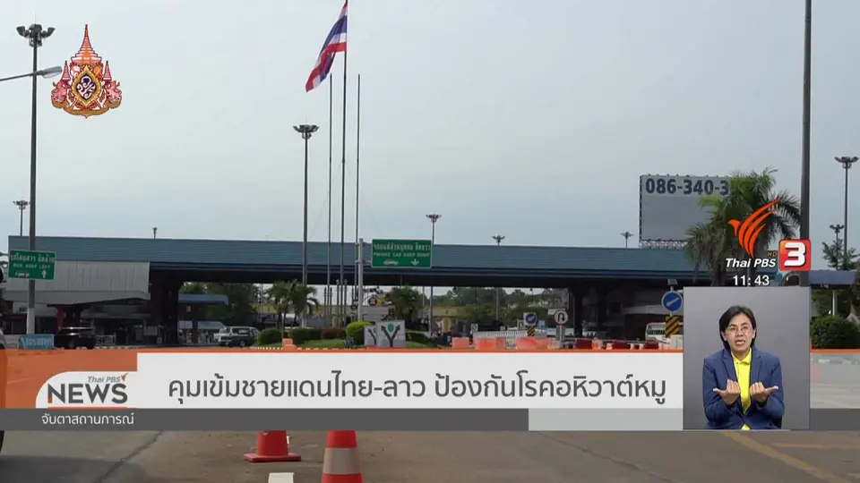 ​คุมเข้มชายแดนไทย -​ ลาว ป้องกันโรคอหิวาต์หมู