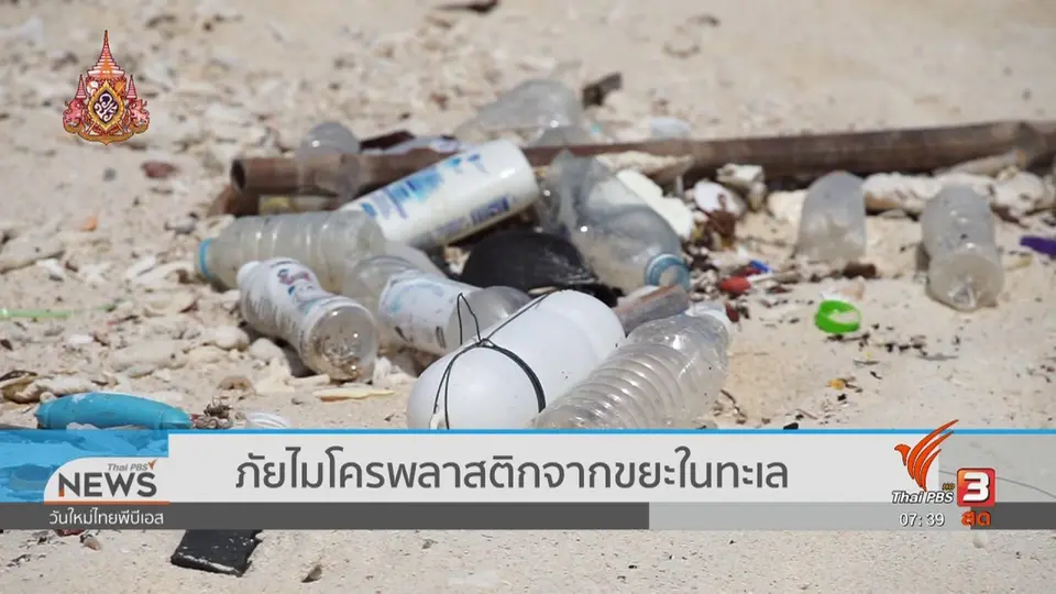 รู้เท่าทันภัย : ภัยไมโครพลาสติกจากขยะในทะเล