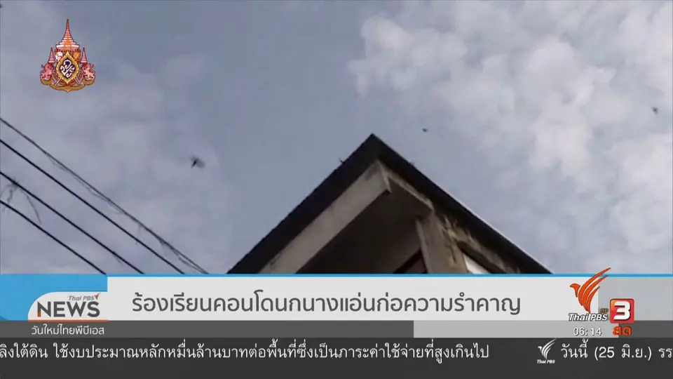 ร้องเรียนคอนโดนกนางแอ่นก่อความรำคาญ