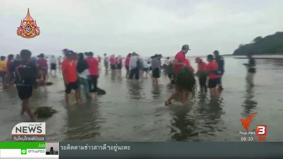 จับตาข่าวเด่น : ติดตามภารกิจดูแล "มาเรียม" พะยูนน้อยหลงแม่