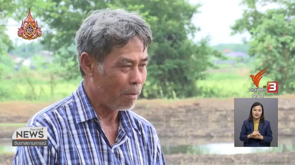 ตั้งกลุ่มขายข้าวอินทรีย์ "ชาวนาช่วยหมูป่า" จ.เชียงราย