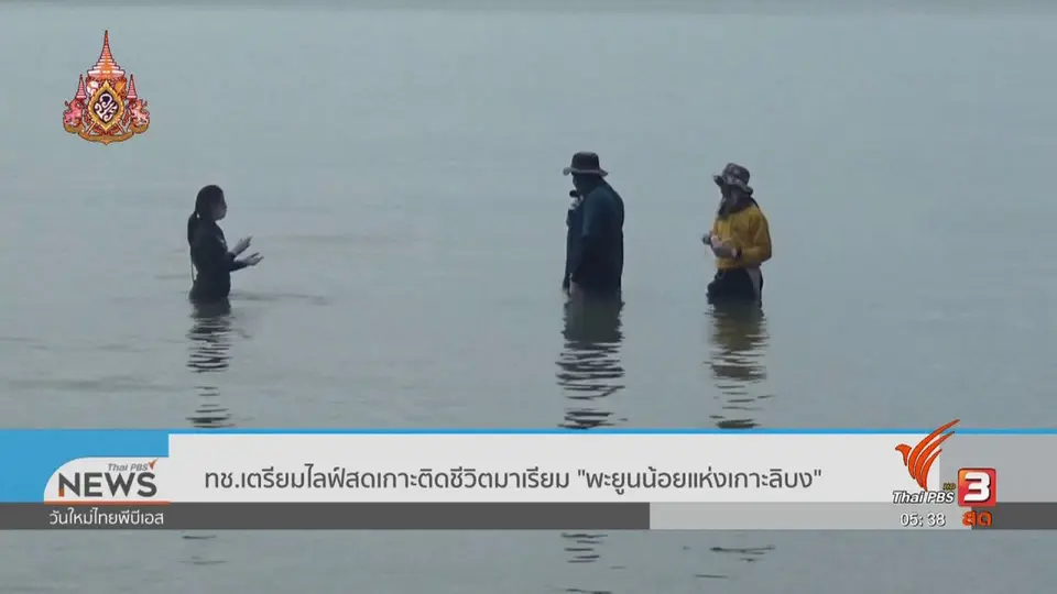 ​ทช.เตรียมไลฟ์สดเกาะติดชีวิตมาเรียม "พะยูนน้อยแห่งเกาะลิบง"