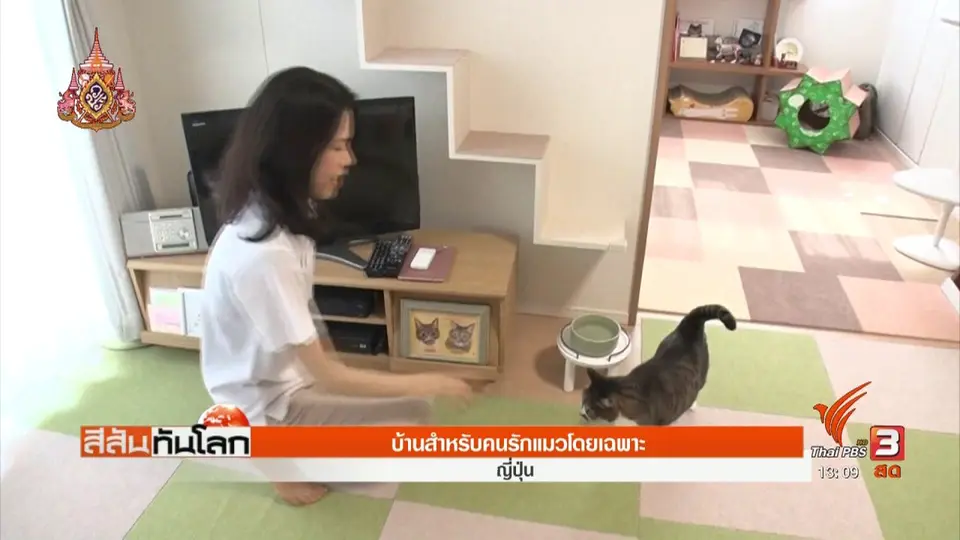 บ้านสำหรับคนรักแมวโดยเฉพาะ