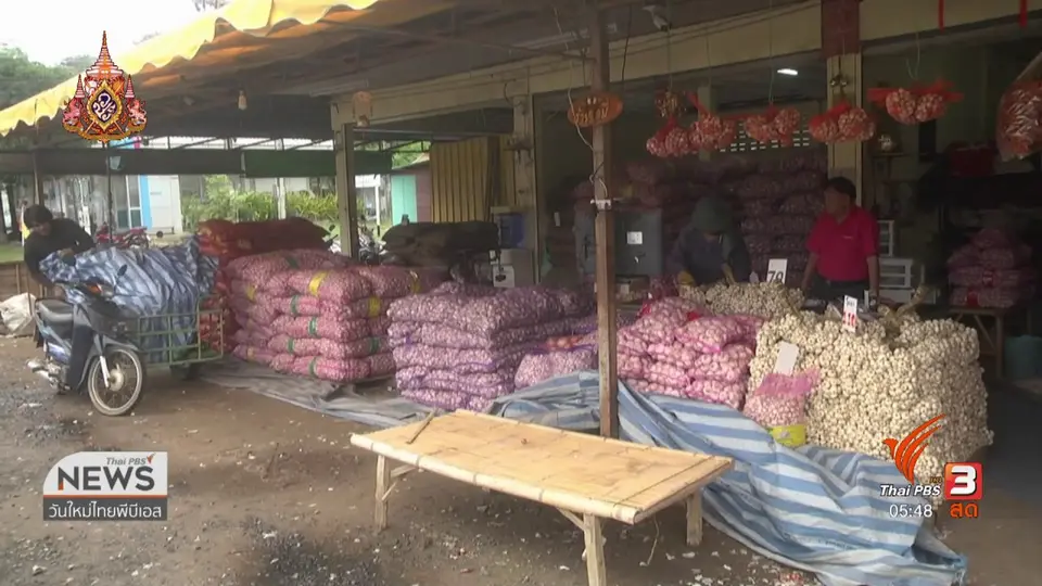 นำเข้ากระเทียมนอกไม่กระทบกระเทียมศรีสะเกษ