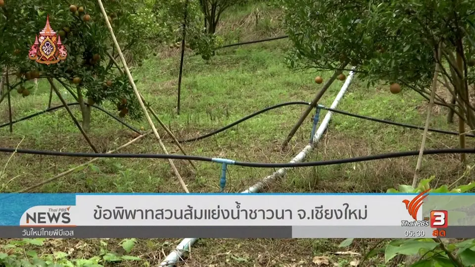 ข้อพิพาทสวนส้มแย่งน้ำชาวนา จ.เชียงใหม่