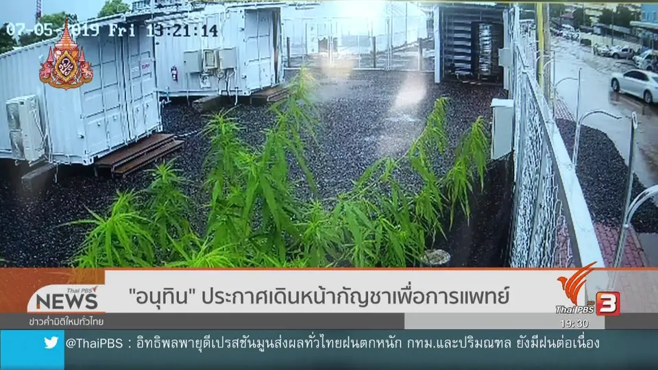 ​"อนุทิน" ประกาศเดินหน้ากัญชาเพื่อการแพทย์