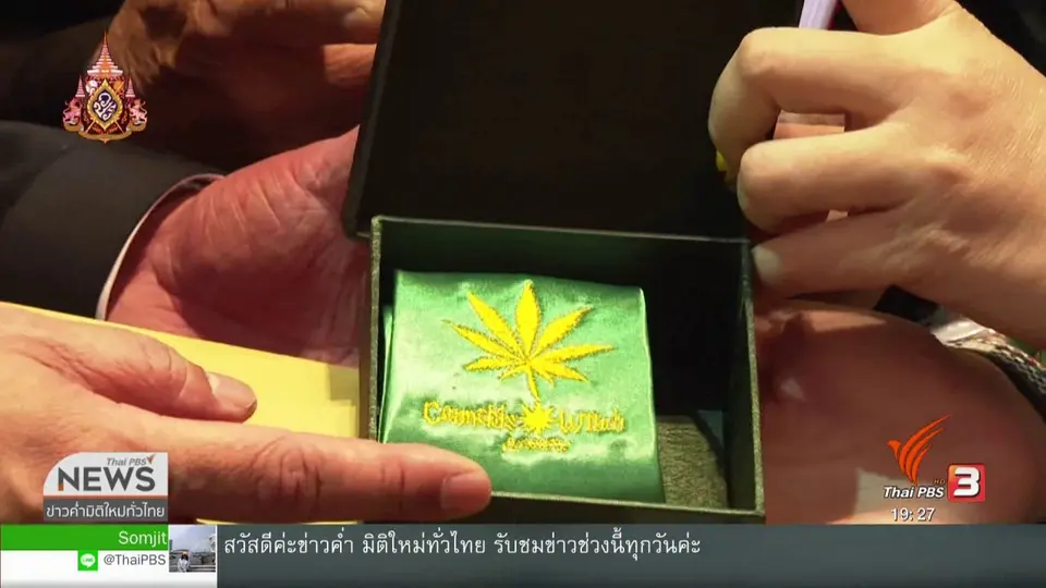 ภูมิใจไทยเตรียมเปิดทางปลูกกัญชาครัวเรือนละ 6 ต้น