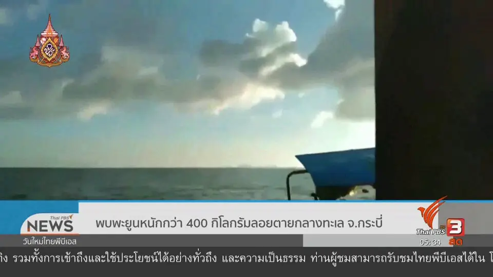 ​พบพะยูนหนักกว่า 400 กิโลกรัมลอยตายกลางทะเล จ.กระบี่