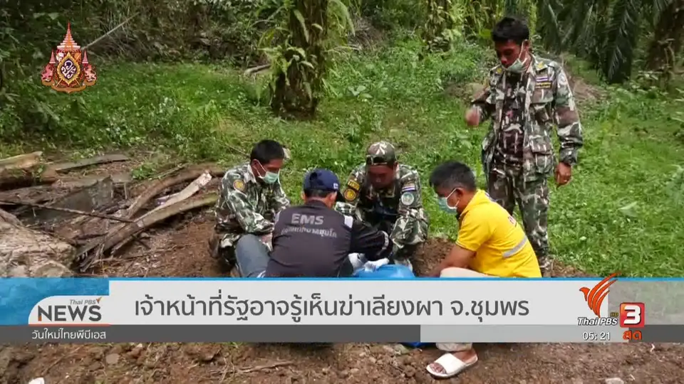 ​เจ้าหน้าที่รัฐอาจรู้เห็นฆ่าเลียงผา จ.ชุมพร