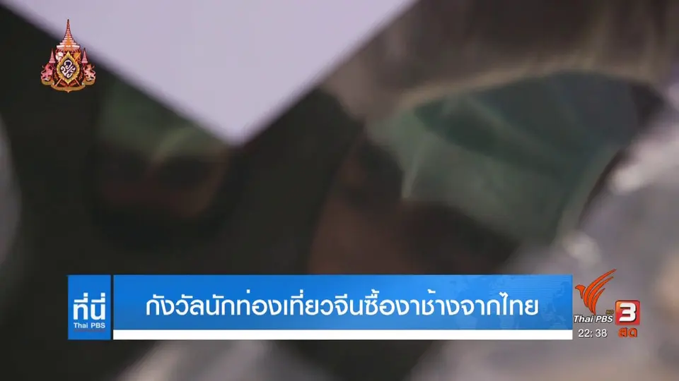 กังวลนักท่องเที่ยวจีนซื้องาช้างจากไทย