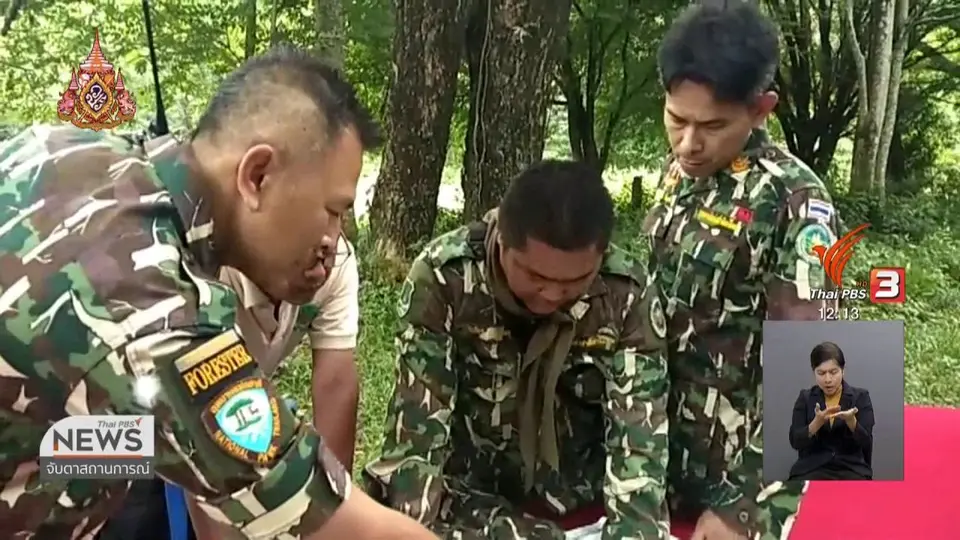 ​เร่งค้นหาชายวัย 52 ปี สูญหายบนเขาใหญ่ จ.นครนายก