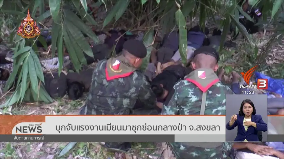 ​บุกจับแรงงานเมียนมาซุกซ่อนกลางป่า จ.สงขลา