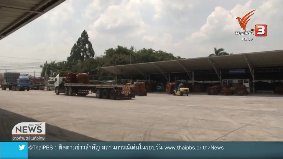 ​"เฉลิมชัย" มั่นใจราคายางพาราปีนี้ 60 บาท/กิโลกรัม