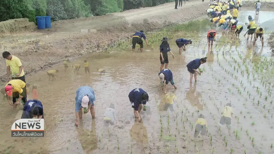 ประเด็นทางสังคม : ศูนย์เรียนรู้ฝึกศาสตร์พระราชา เพื่อประชาชน