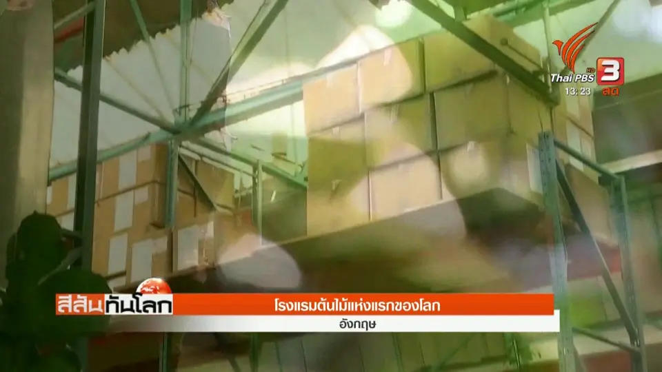 โรงแรมต้นไม้แห่งแรกของโลก