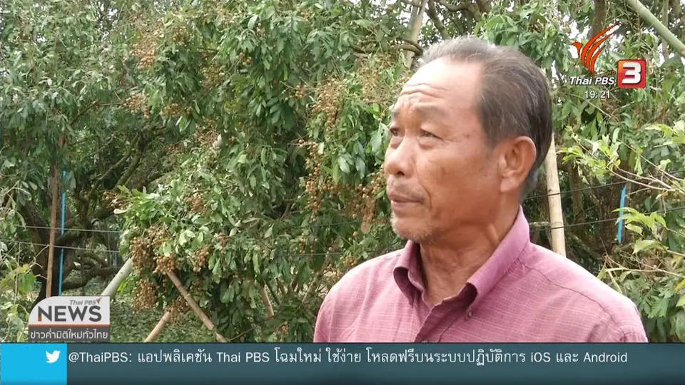 พายุลูกเห็บสร้างความเสียหายพื้นที่เกษตรภาคเหนือ