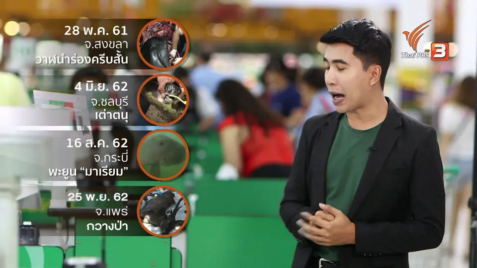 ข่าวเด่นไทยพีบีเอส 2562 : เลิกถุงพลาสติกไม้แข็งจัดการขยะ