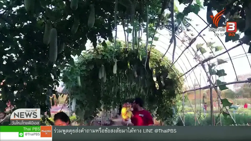 สีสันวาไรตี้ (3 ม.ค. 63)