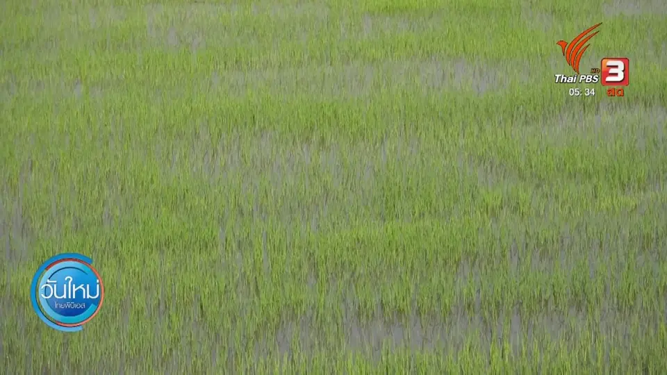 ​เร่งเยียวยาเกษตรกรประสบปัญหาภัยแล้ง