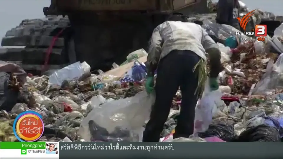 จับตาข่าวเด่น : การปนเปื้อนไมโครพลาสติกจากปลาสู่คน