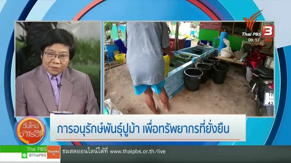 ประเด็นทางสังคม : การอนุรักษ์พันธุ์ปูม้า เพื่อทรัพยากรที่ยั่งยืน