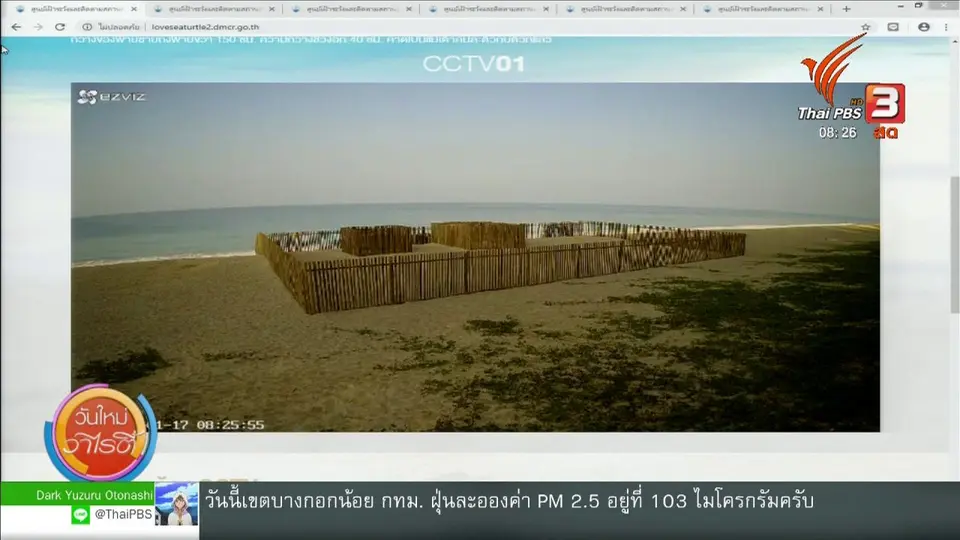 จับตาข่าวเด่น : ติดตามการฟักไข่ของเต่ามะเฟือง จ.พังงา