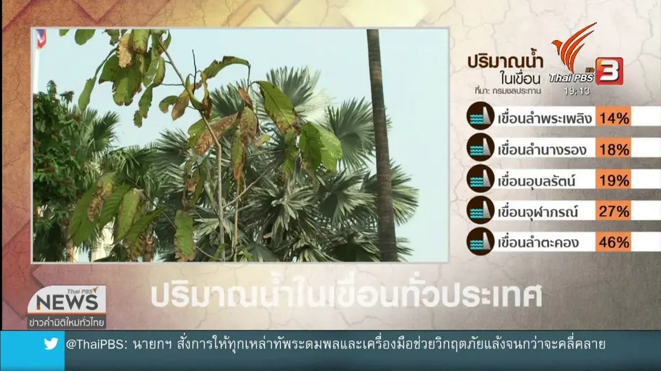 น้ำประปากร่อย ต้นไม้ทำเนียบรัฐบาลเหี่ยวเฉา