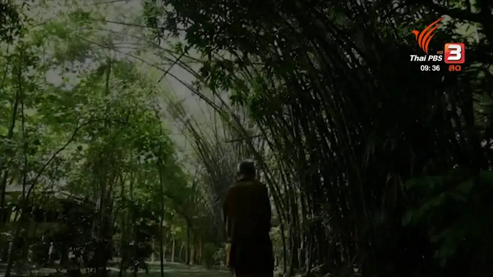 สีสันวาไรตี้ (20 ม.ค. 63)