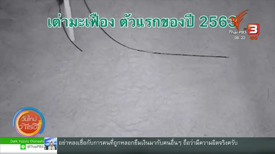 จับตาข่าวเด่น : ลูกเต่ามะเฟืองตัวแรกของปี
