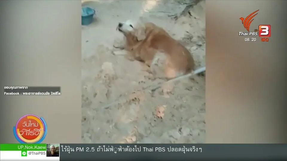 จับตาข่าวเด่น : แก๊งป่วนก๊วนเด็กวัด
