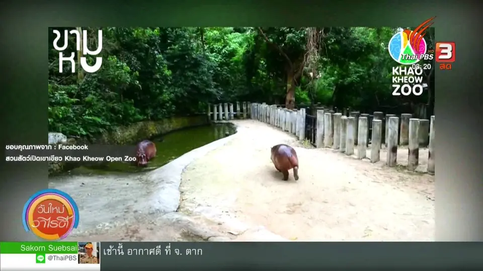 จับตาข่าวเด่น : ซูเปอร์สตาร์สวนสัตว์เปิดเขาเขียว