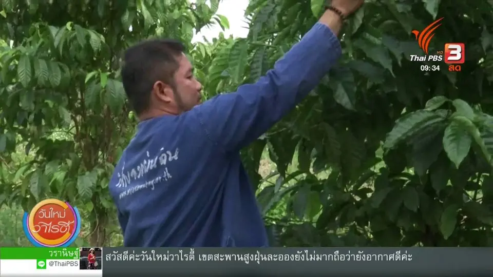 สีสันวาไรตี้ (23 ม.ค. 63)