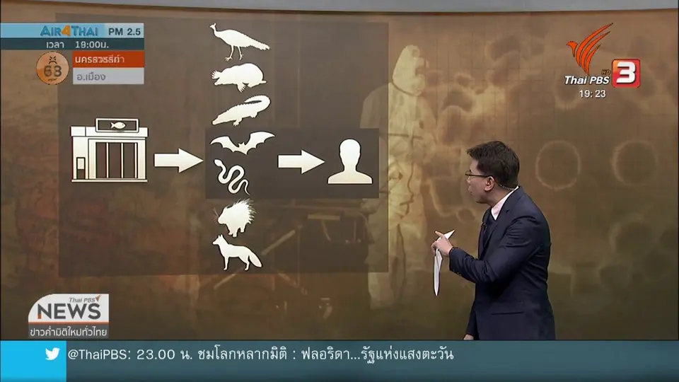 ​วิเคราะห์สถานการณ์ต่างประเทศ : สัตว์พาหะเชื้อไวรัสโคโรนาสายพันธุ์ใหม่