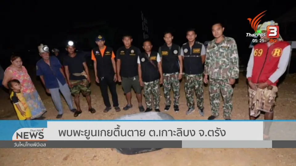 ​พบพะยูนเกยตื้นตาย ต.เกาะลิบง จ.ตรัง