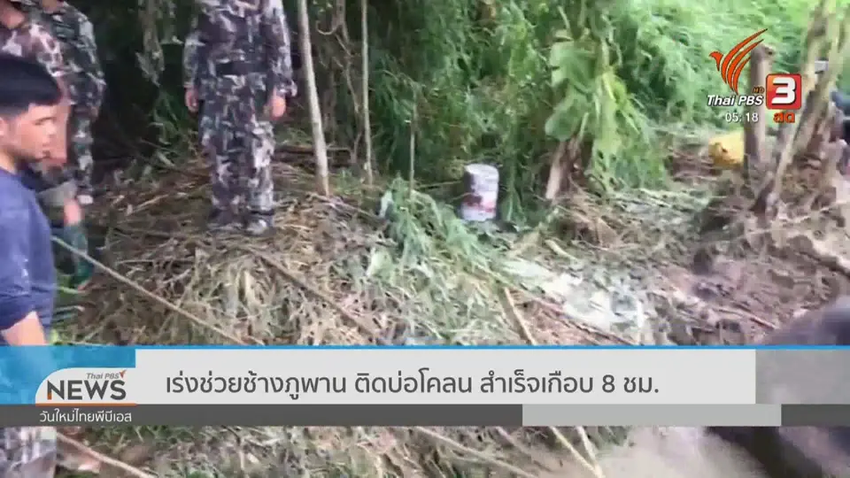 ​เร่งช่วยช้างภูพาน ติดบ่อโคลน สำเร็จเกือบ 8 ชม.