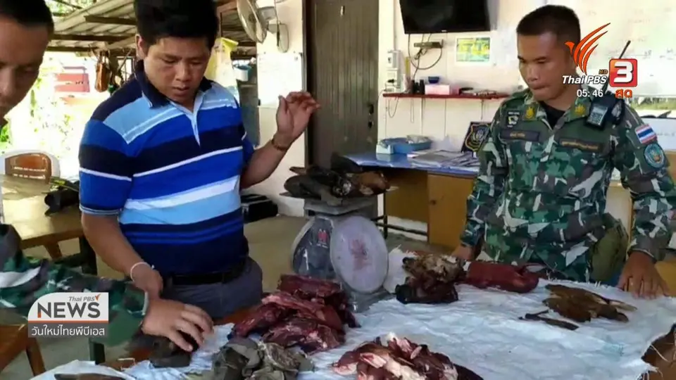 ​ตรวจยึดซากสัตว์ป่าถูกชำแหละจำหน่าย