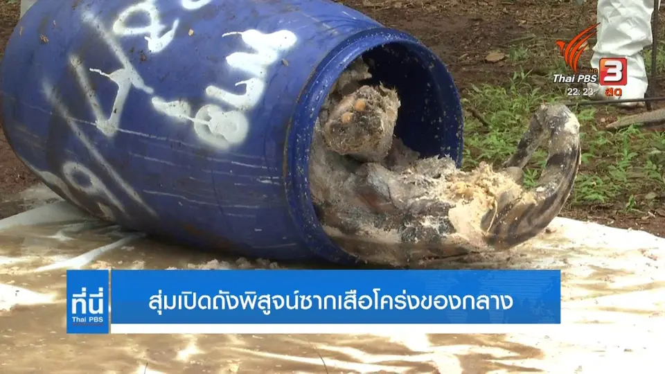 สุ่มพิสูจน์ซากเสือโคร่งของกลาง