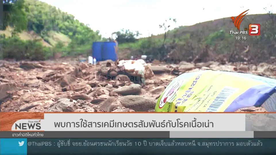 ​พบการใช้สารเคมีเกษตรสัมพันธ์กับโรคเนื้อเน่า