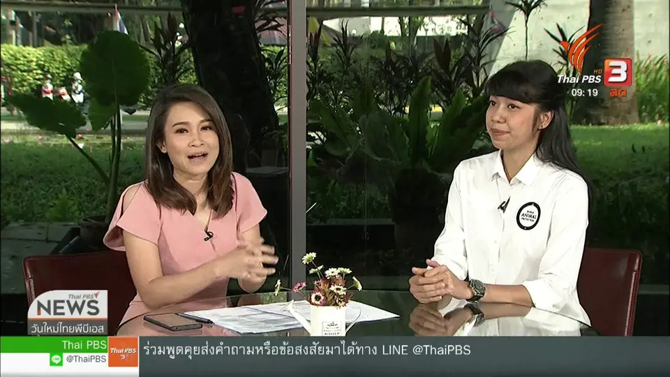 ​ประเด็นทางสังคม : องค์กรพิทักษ์สัตว์โลกกับภารกิจเพื่อสิทธิสัตว์และสวัสดิภาพมนุษย์