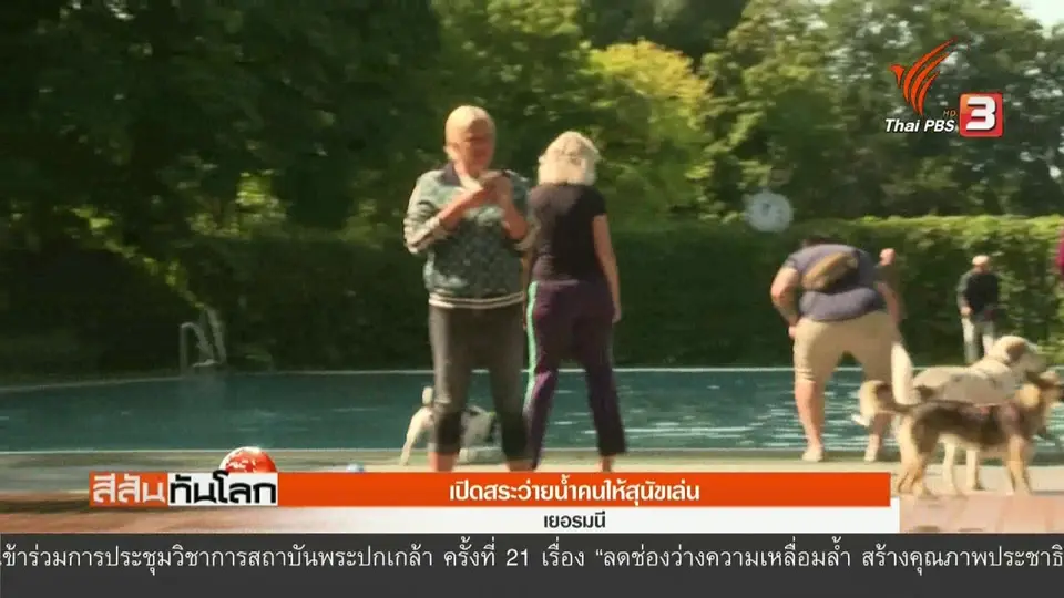 เปิดสระว่ายน้ำคนให้สุนัขเล่น