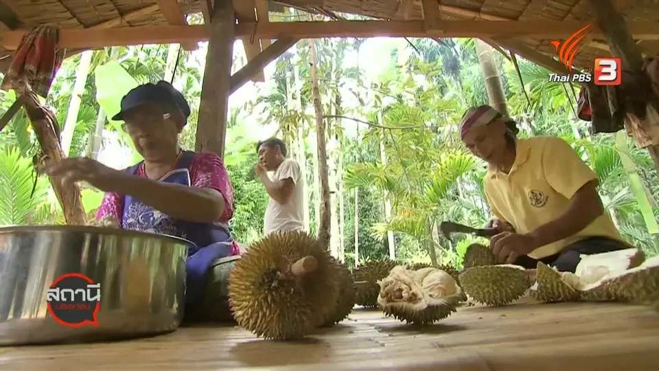 สถานีร้องเรียน : ท่องเที่ยวนวัติวิถี อ.ชะอวด จ.นครศรีธรรมราช