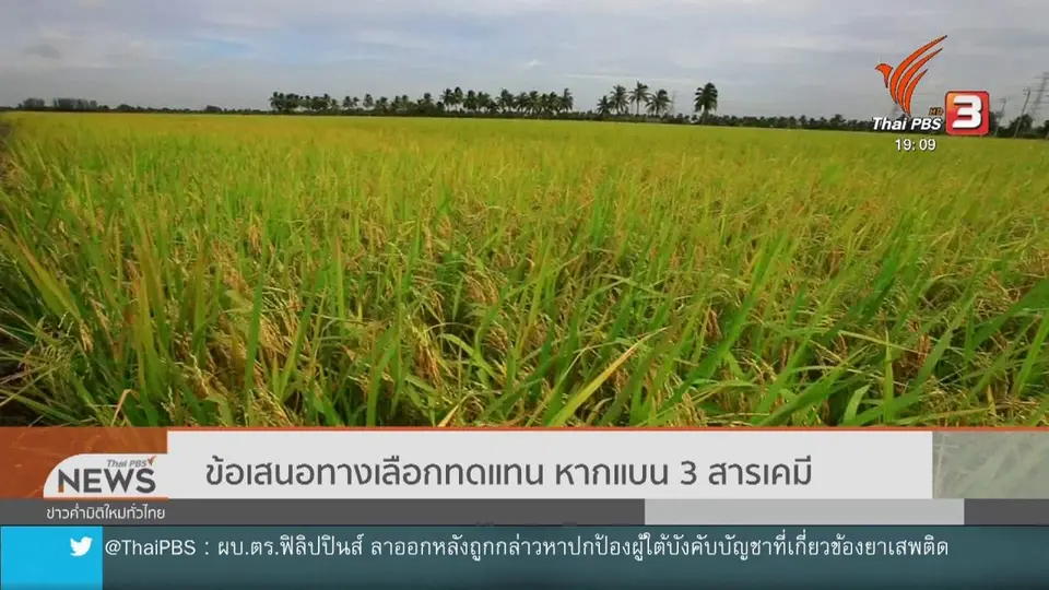 ข้อเสนอทางเลือกทดแทน หากแบน 3 สารเคมี