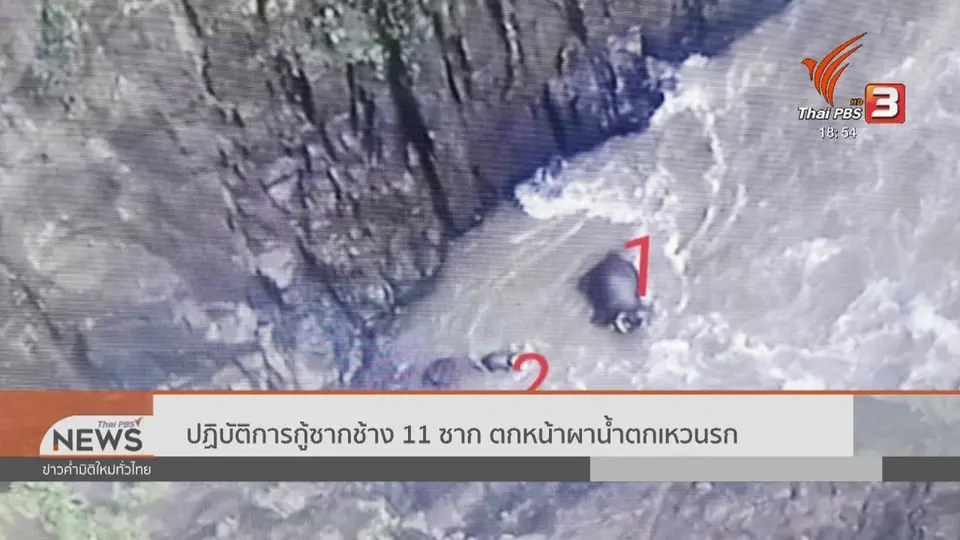 ปฏิบัติการกู้ซากช้าง 11 ซาก ตกหน้าผาน้ำตกเหวนรก