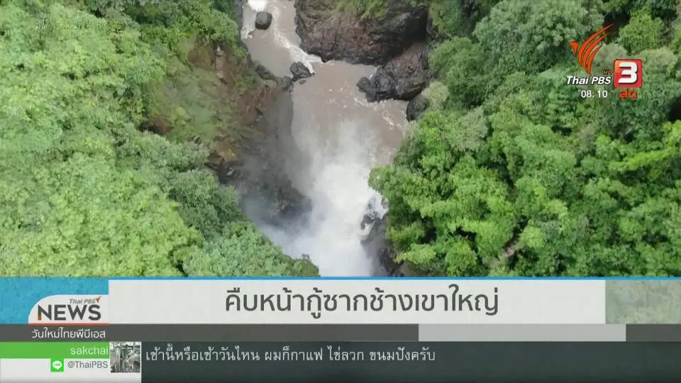 ​จับตาข่าวเด่น : คืบหน้าการเก็บกู้ซากช้างเขาใหญ่