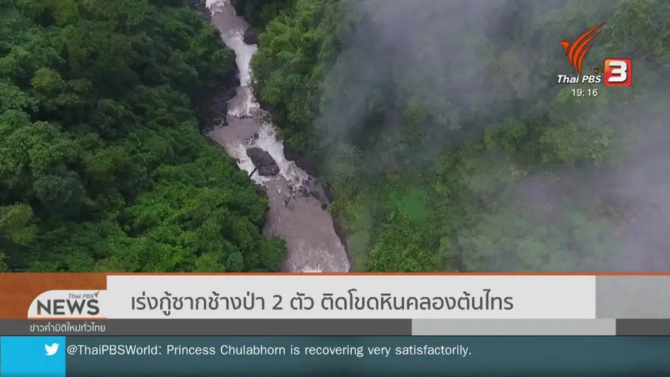 เร่งกู้ซากช้างป่า 2 ตัว ติดโขดหินคลองต้นไทร