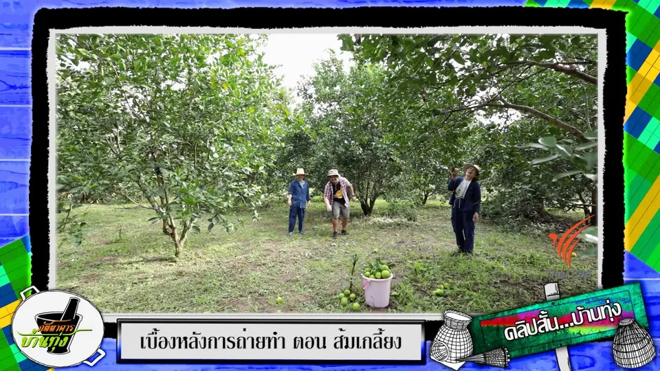 คลิปบ้านทุ่ง : เบตองส้มเกลี้ยง