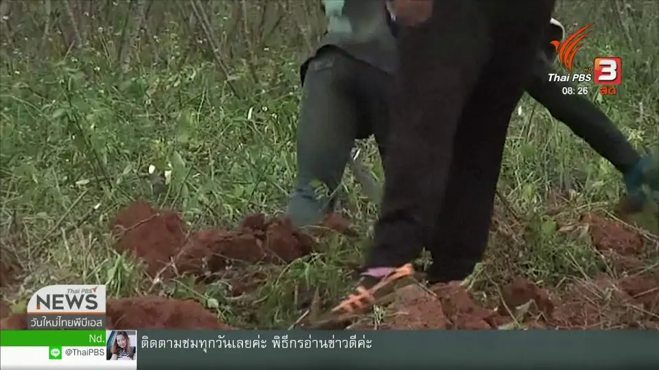 จับตาข่าวเด่น : ก.เกษตร หนุนชลบุรีปลูก 4 พืชสร้างรายได้